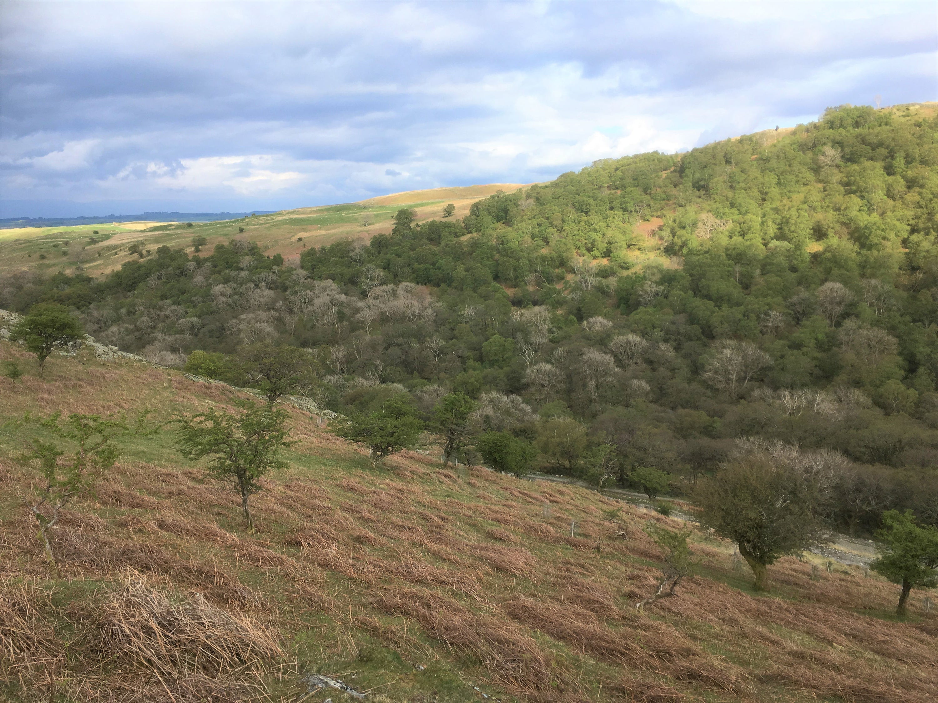 Landscape restoration in Haweswater, Cumbria (Alastair Driver/RSPB Haweswater/PA)