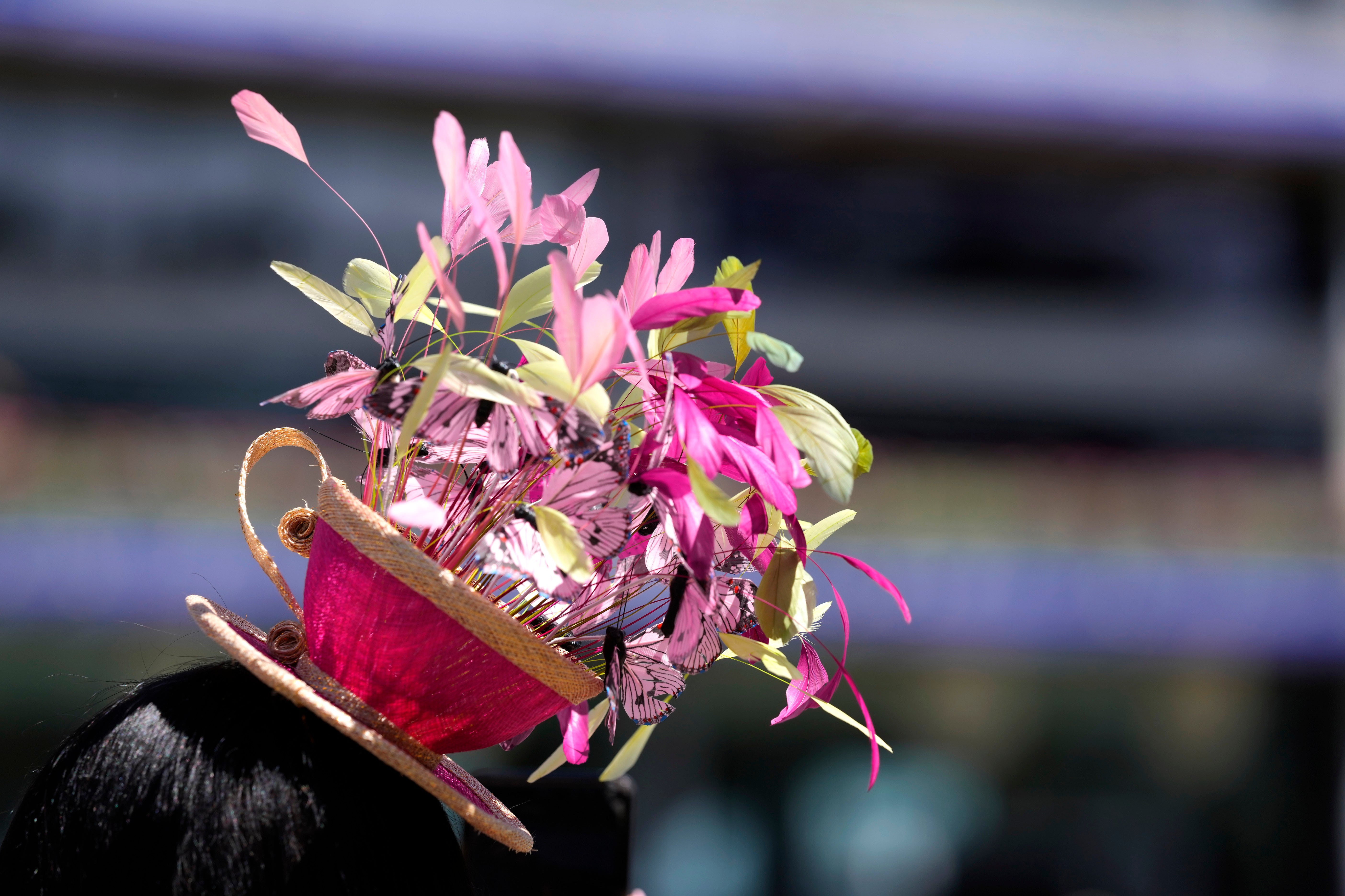 A view hat worn by a racegoer, on the second day of of the Royal Ascot horserace meeting