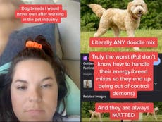 Former pet industry worker warns against adopting these five ‘worst’ dog breeds 