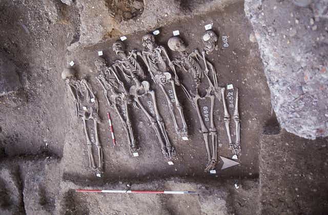 The skeletons of victims of the Black Death found in London (Museum of London Archaeology/PA)