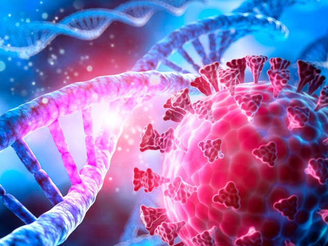 <p>Heavy coronavirus symptoms? It may be down to your genes </p>