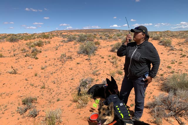 <p>Bernadine Beyale, founder of Four Corners K9 Search and Rescue, and her two dogs, Trigger and Gunny, are seen during a search for a missing person on the Navajo Nation on April 23rd, 2022.</p>