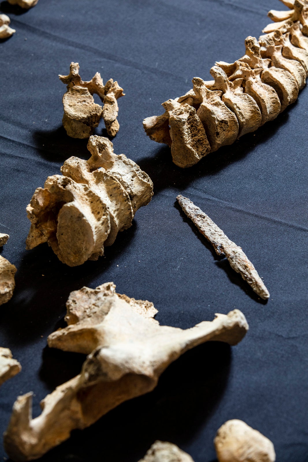 A skeleton, thought to be male, was found with a sharp iron object embedded into its spine