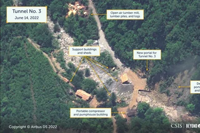 <p>Sattelite image by CSIS shows Tunnel No 3 </p>