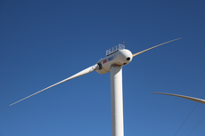 Scientists develop new turbines that bend in strong winds like palm trees