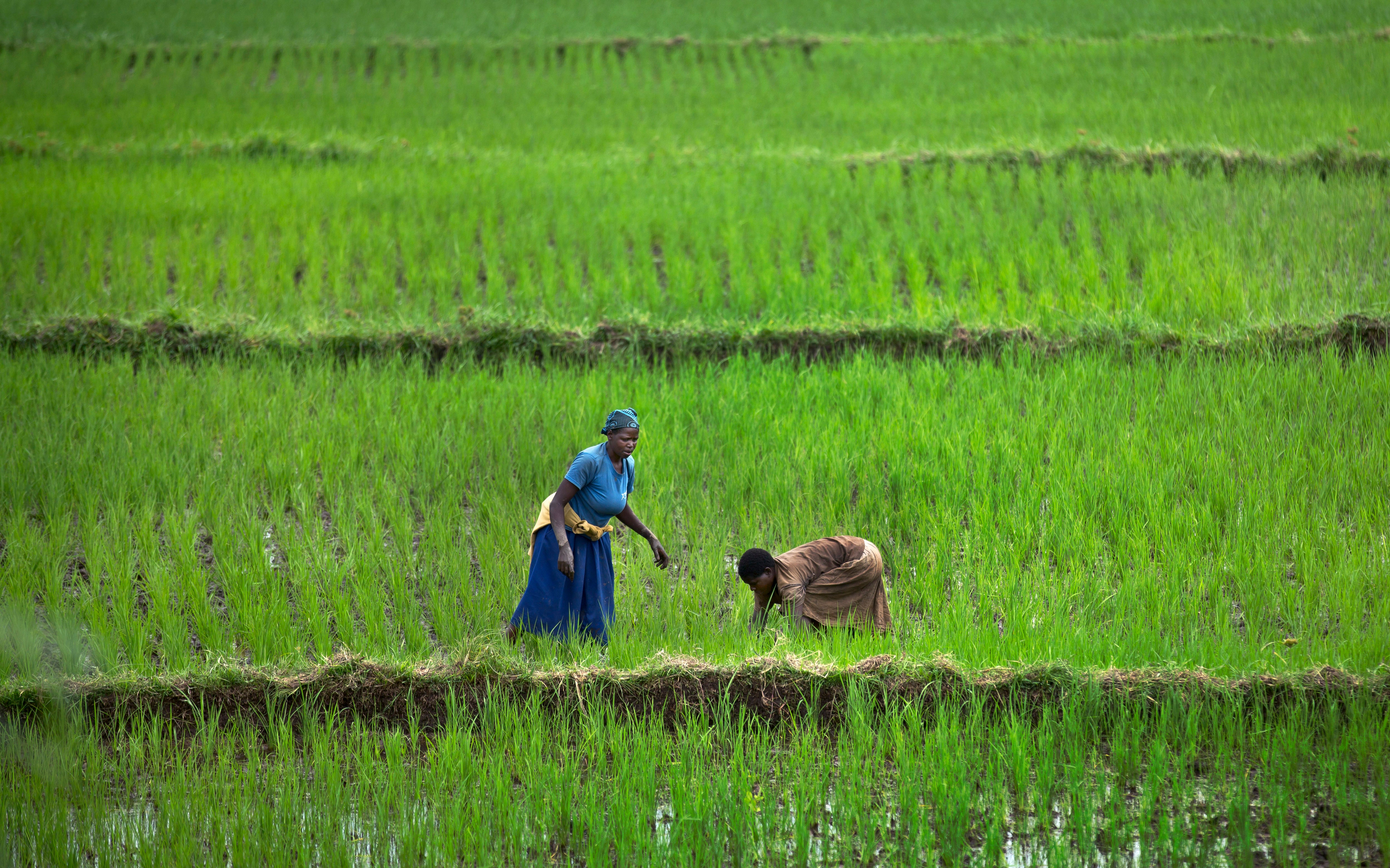 Rwanda Commonwealth Summit