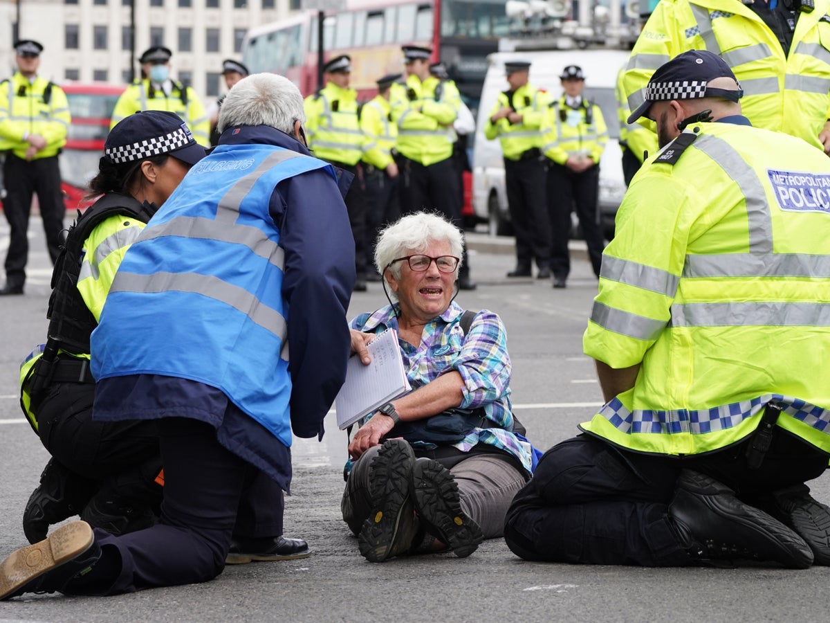 Government creating ‘hostile environment’ for peaceful protesters, MPs warn