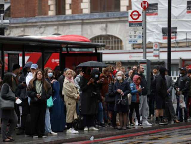 <p>Workers are likely to form huge queues for buses </p>