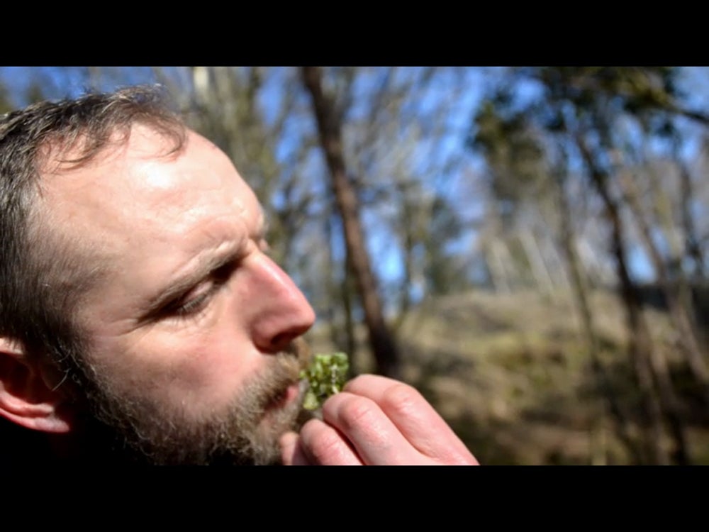 Ian cooking and foraging (Collect/PA Real Life)