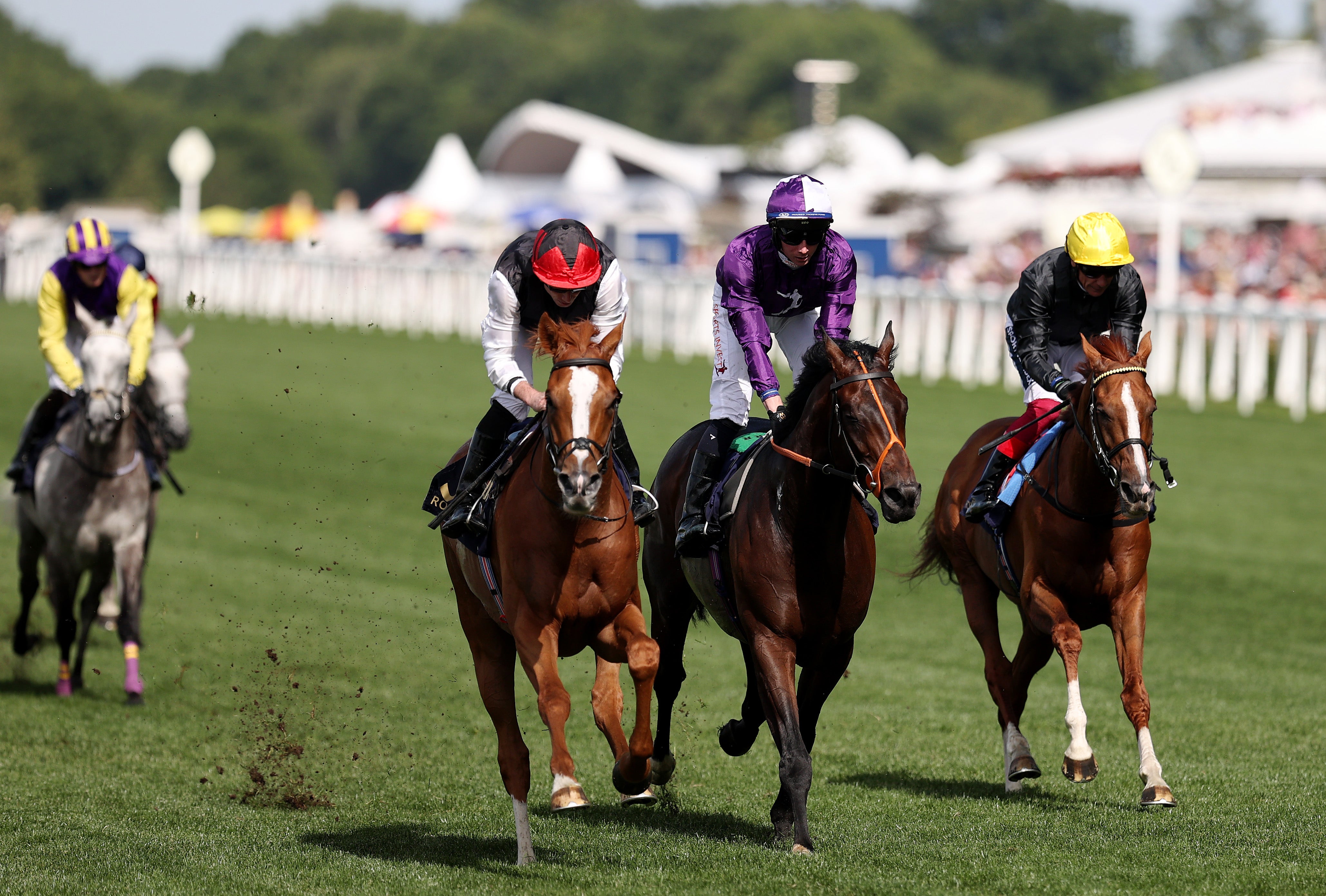 Kyprios (Black + red cap) wins the Gold Cup from Mojo Star (purple) and Stradivarius (black)