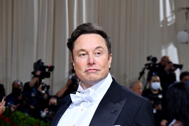 <p>TESLA CEO Elon Musk  </p>