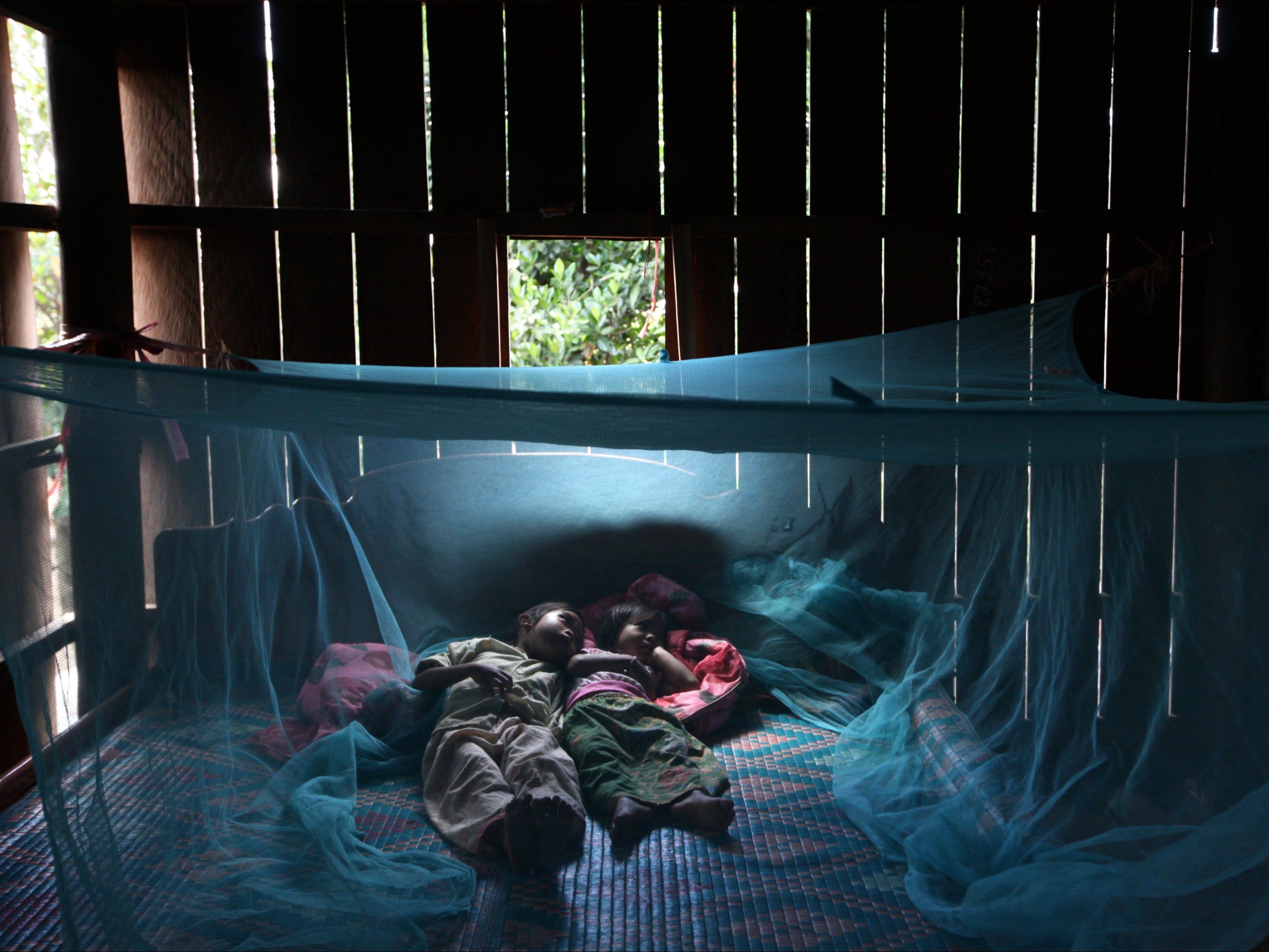 Two children rest under a mosquito bed net in Cambodia