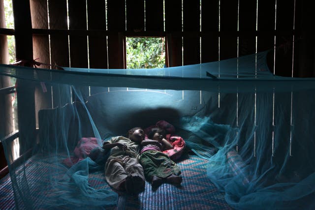<p>Two children rest under a mosquito bed net in Cambodia</p>