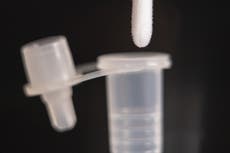 Covid-19 infection levels rising in all four UK nations