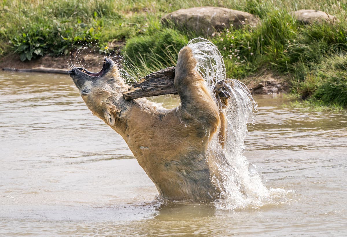 In Pictures: Britain swelters as temperatures soar