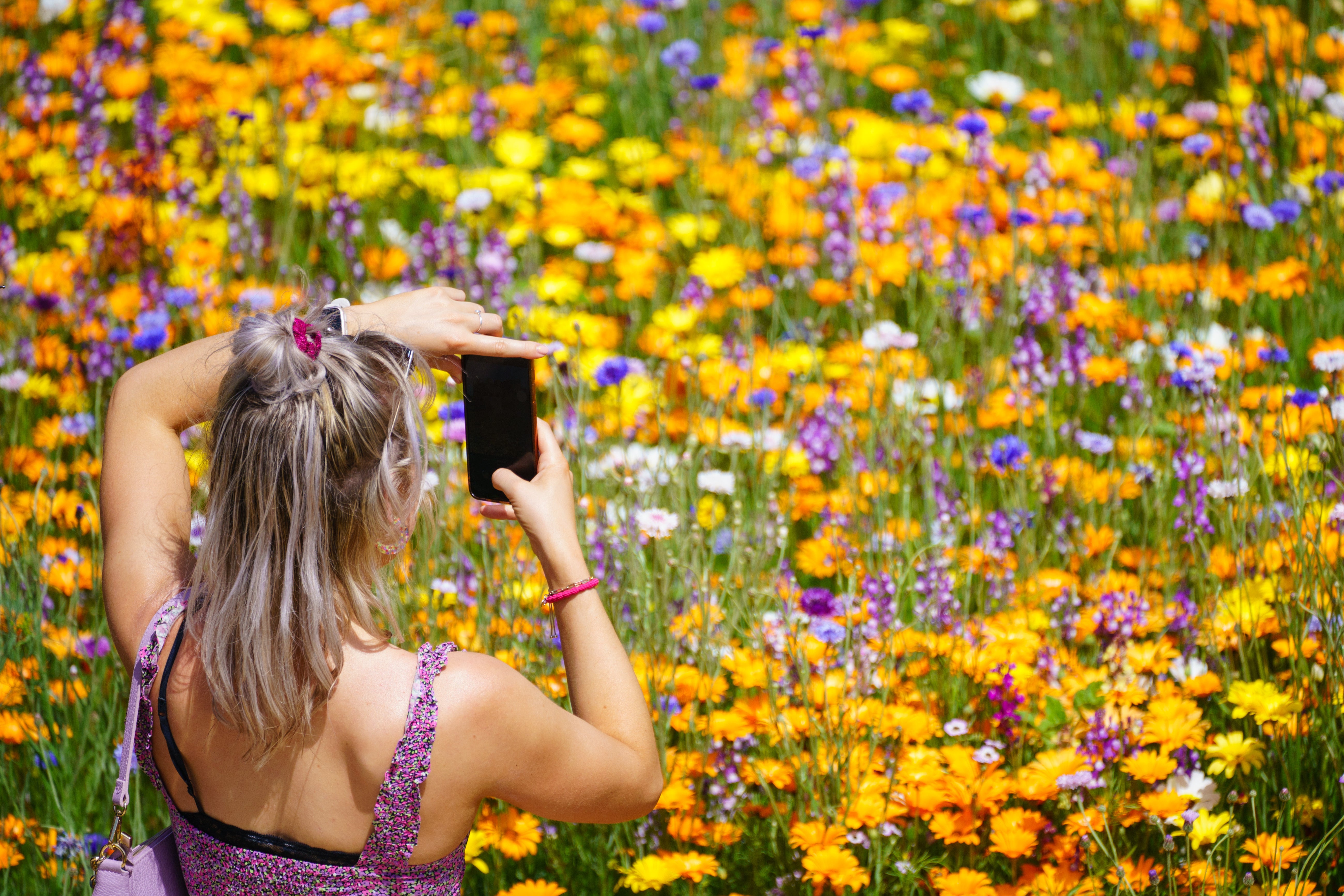 A visitor takes a photo of the flowers of the ‘Superbloom’ garden in the moat of the Tower of London, in London (Dominic Lipinski/PA)