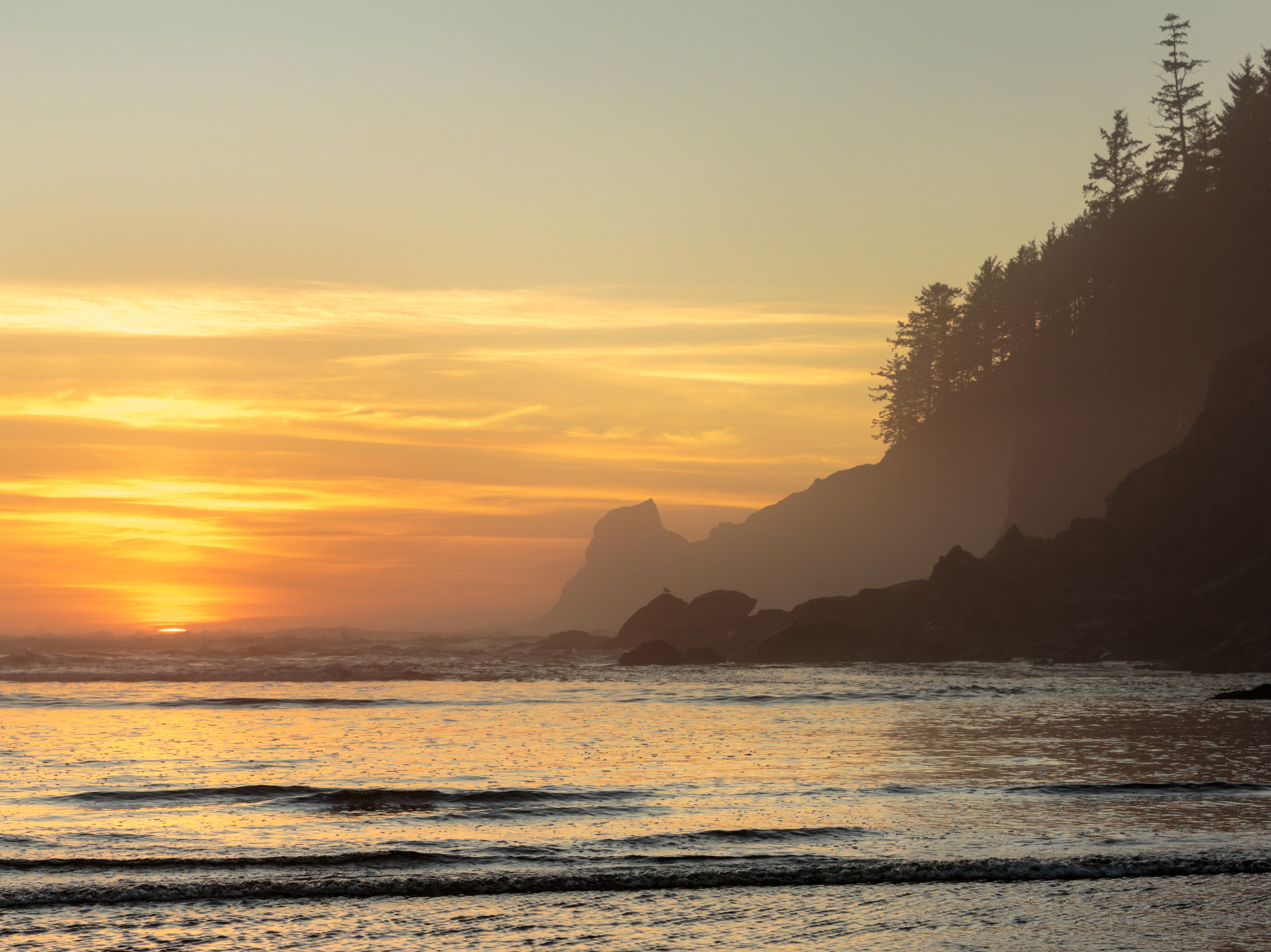 An Oregon beach near the cave where remains of the Beeswax were recovered this week