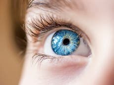 Eyes may offer glimpse into neurological conditions