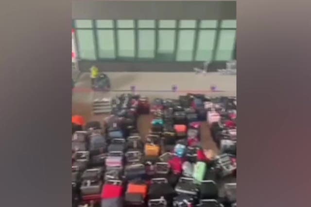 <p>Luggage chaos at Heathrow airport from 'ongoing issue' </p>