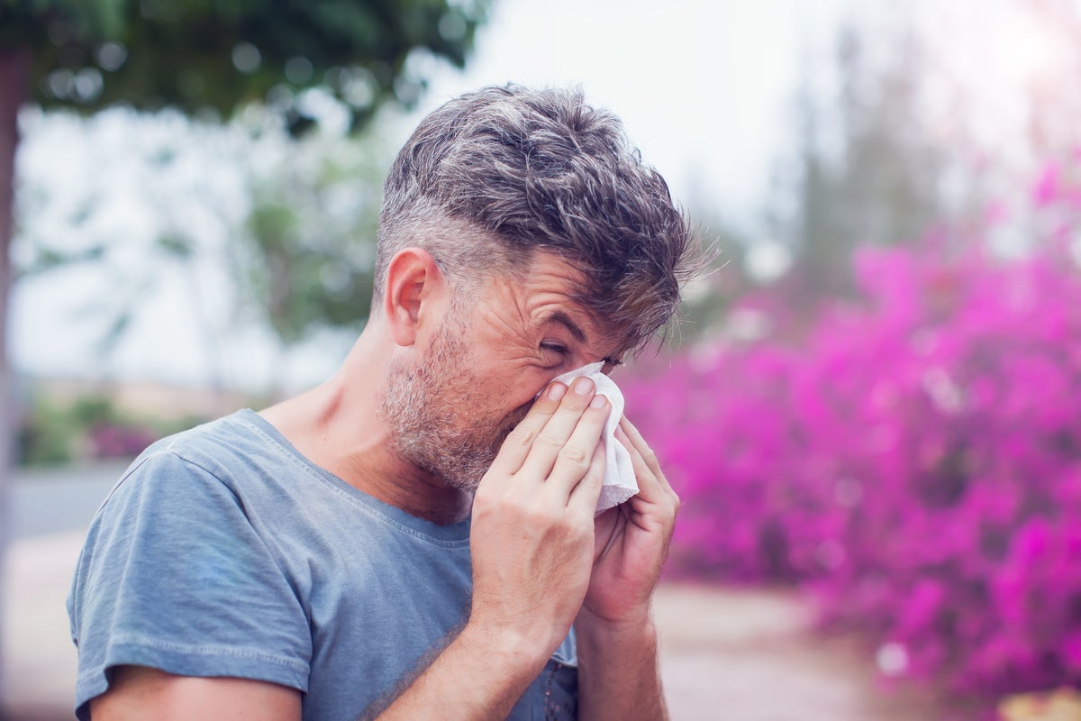 Hay fever: Why are symptoms so bad this year and how can you treat them?