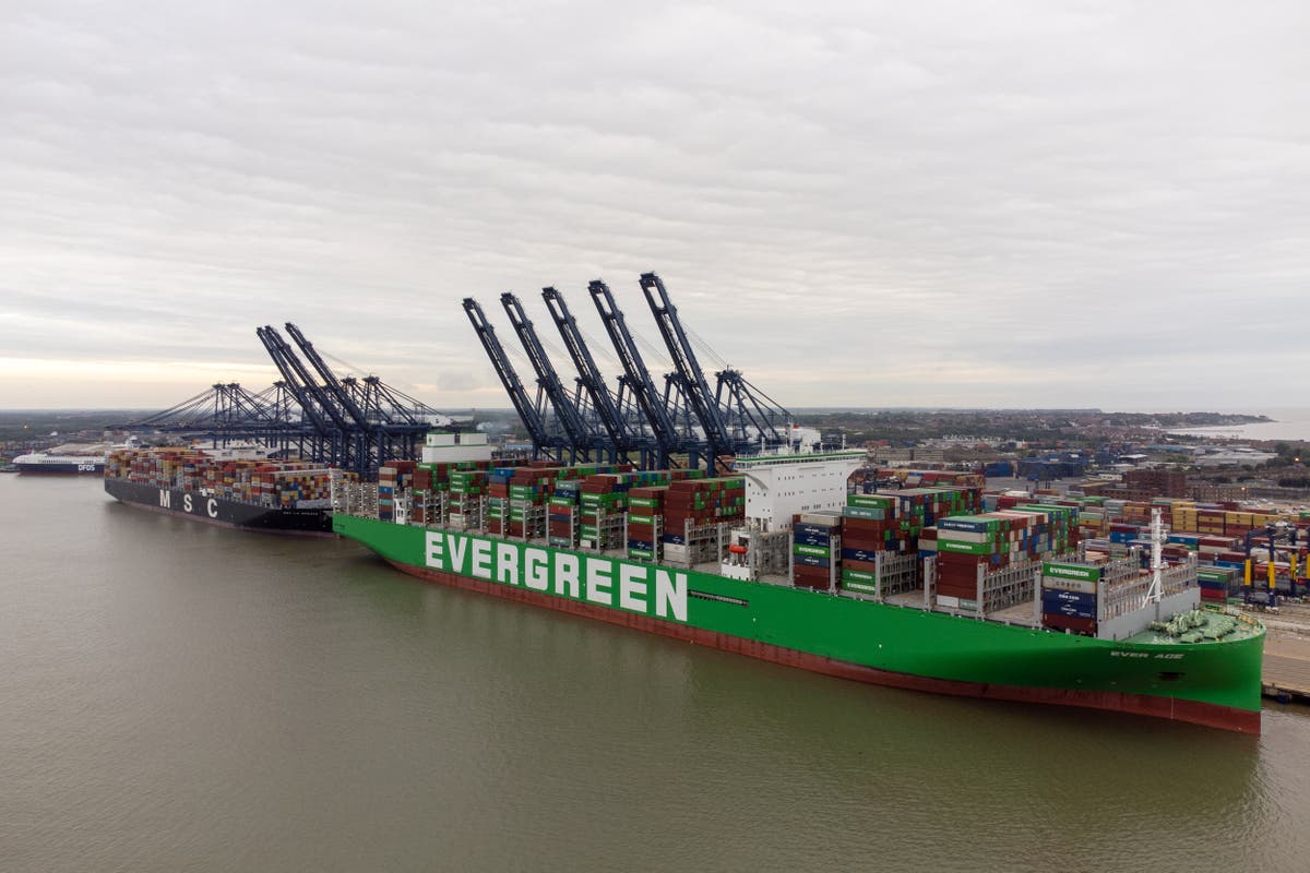 World&rsquo;s largest cargo ship arrives in UK port