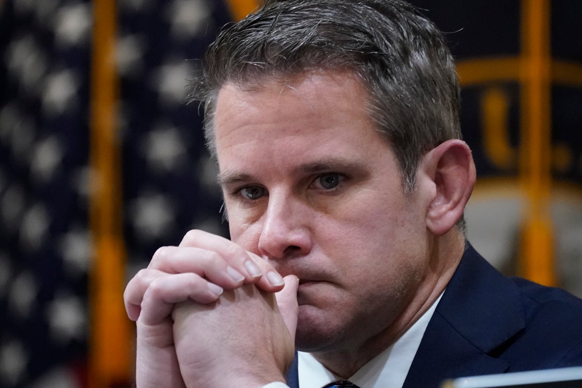 ‘I hope you die naturally’: Adam Kinzinger posts video detailing death ...