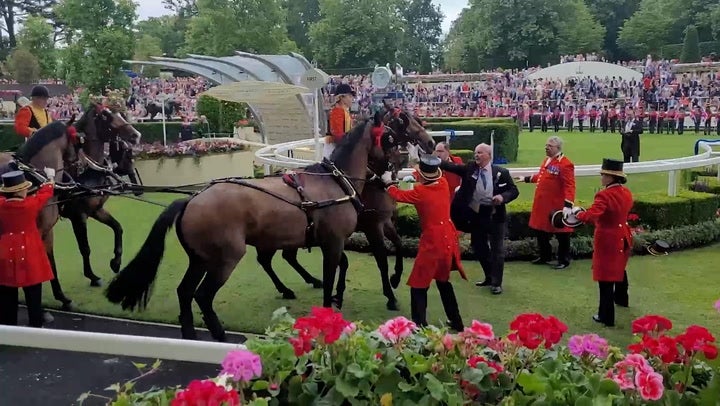 Horse pulling Princess Beatrice s carriage gets spooked