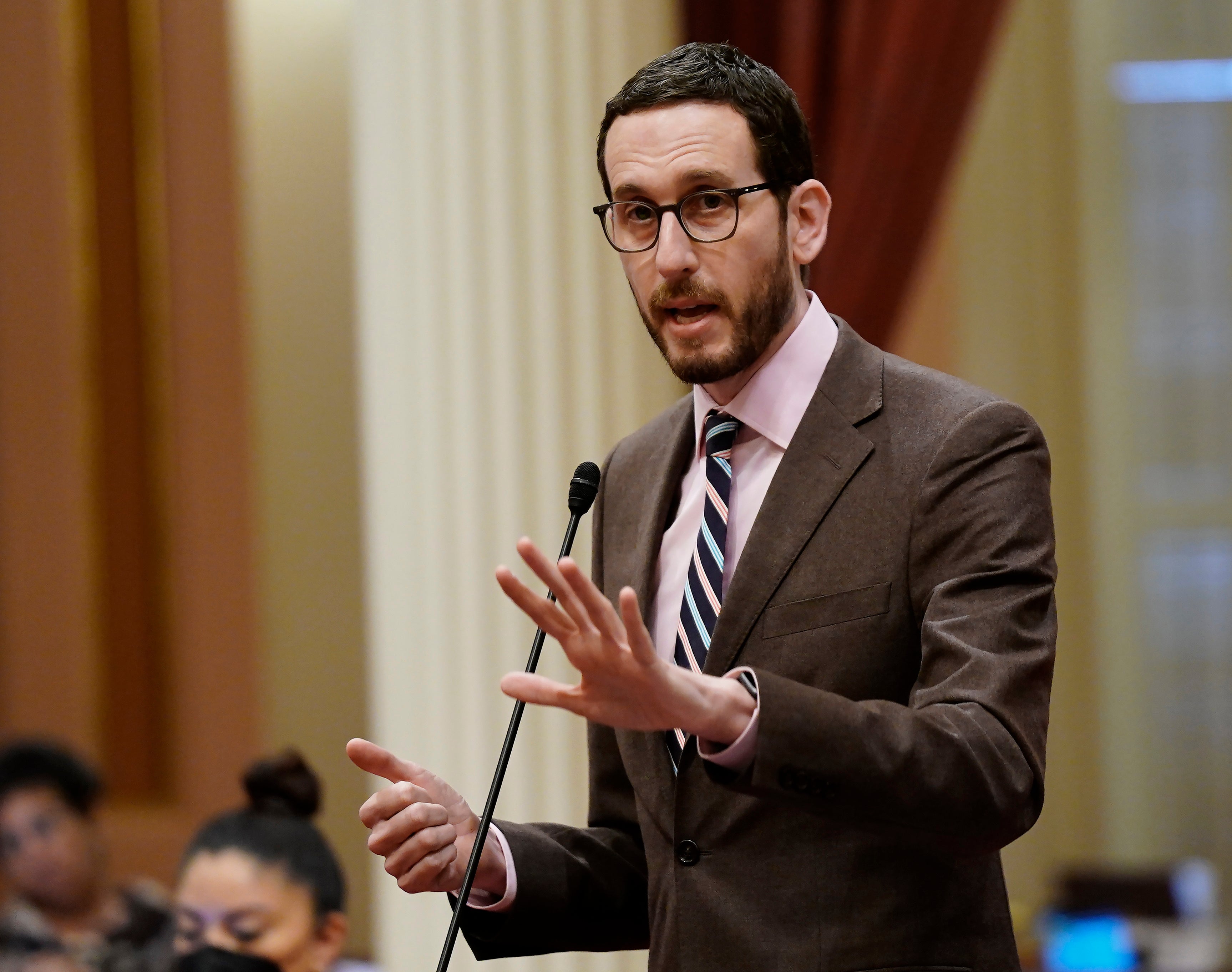 California Legislature-Loitering