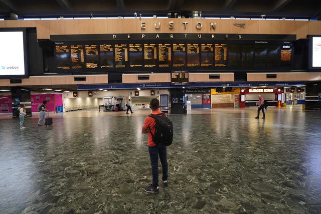 <p>A passenger looks on at an empty Euston station </p>