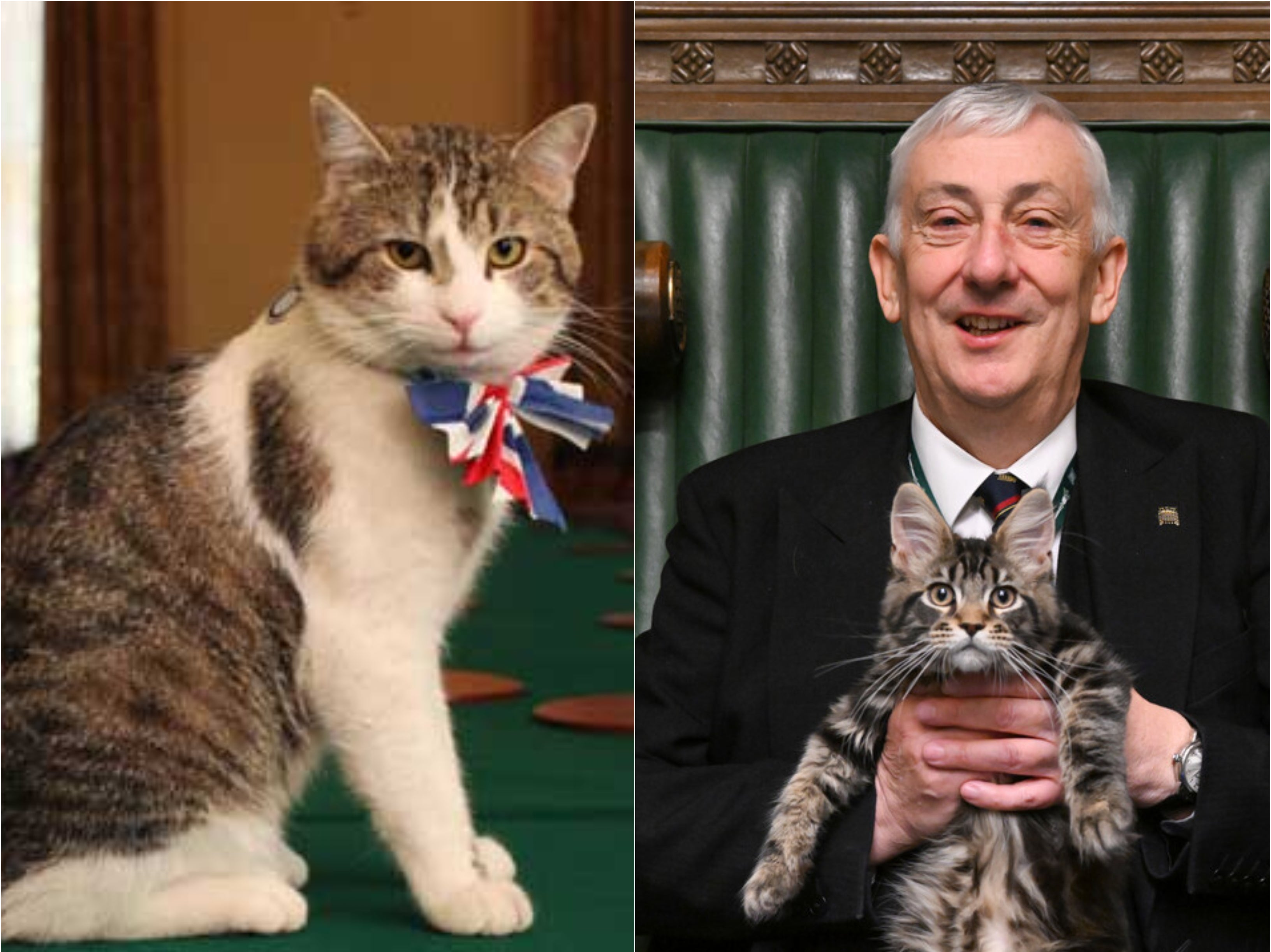 Larry the Cat has welcomed new recruit Attlee