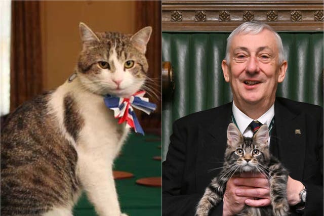 <p>Larry the Cat has welcomed new recruit Attlee</p>