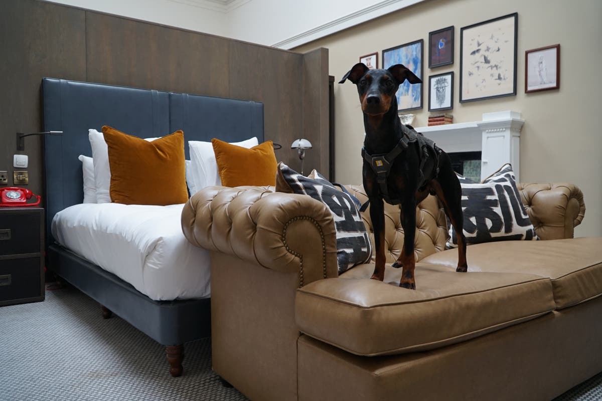 Best dog-friendly hotels in the UK 2022