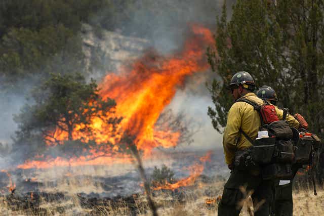 Western Wildfires Staffing