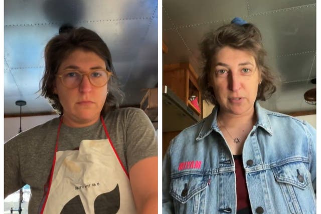 <p>Mayim Bialik, 46, revealed she has tested positive for Covid-19 in an Instagram Live on Monday and gave fans an update in a follow-up video on Tuesday (21 June) </p>