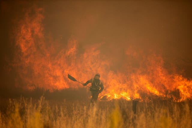 Europe Wildfires