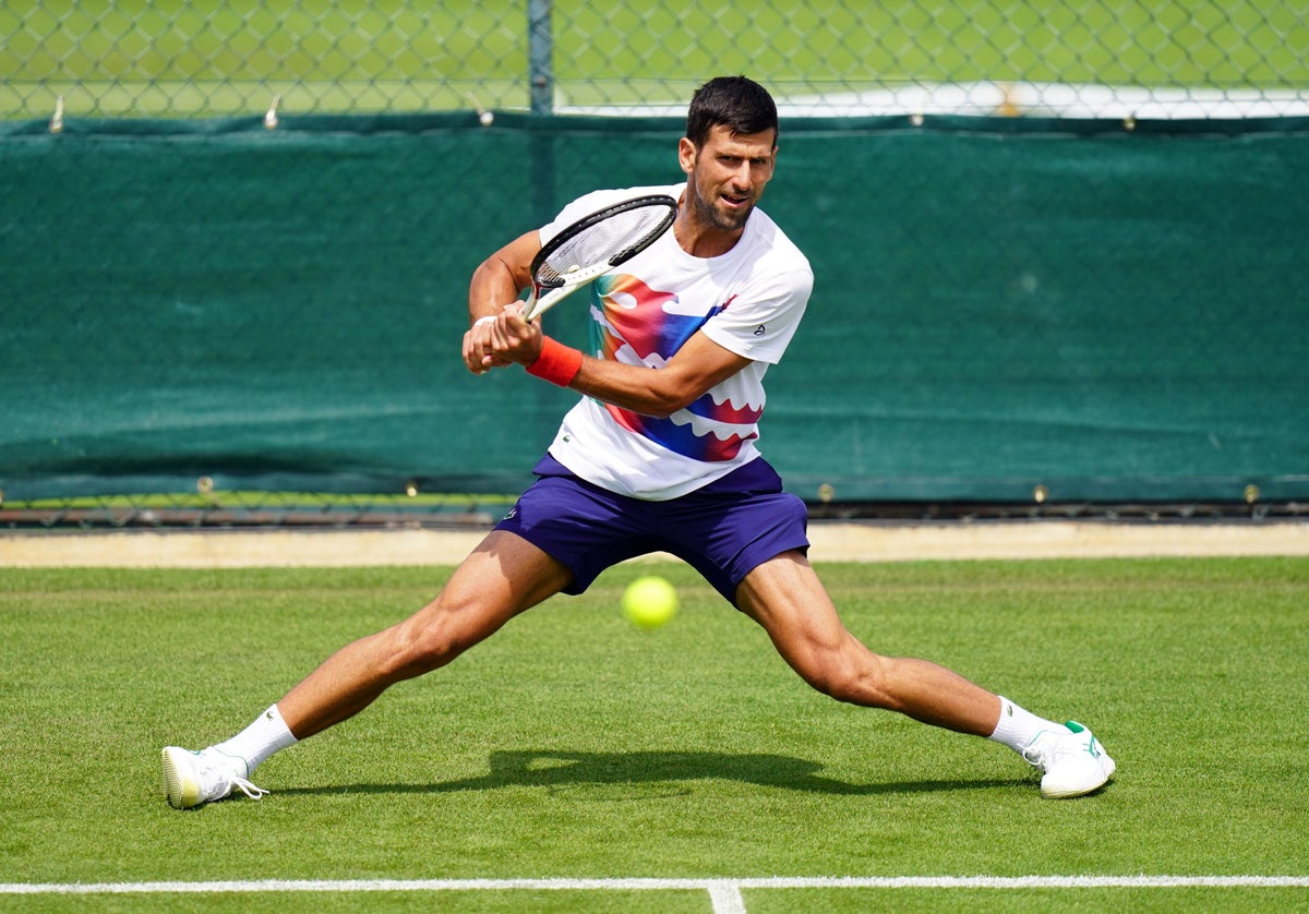 Djokovic vs Auger-Aliassime live stream: How to watch Hurlingham match online today