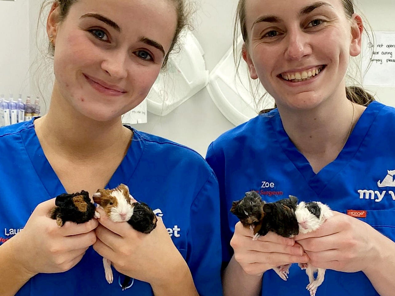 Laura Diegnan and Zoe Finlay, from MyVet, with the six guinea pig kits