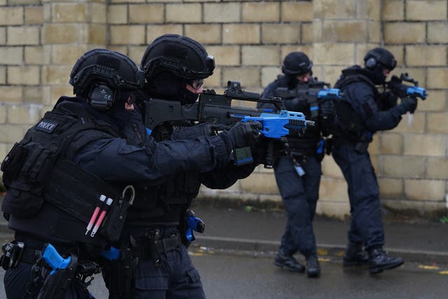 A report recommends that recruitment and selection procedures for Police Scotland’s armed unit should be reviewed (PA)