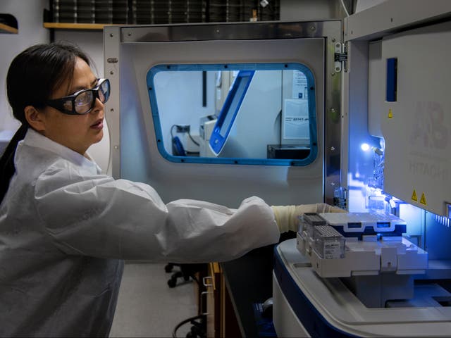 Un científico secuencia diferentes muestras de poliovirus en un laboratorio.