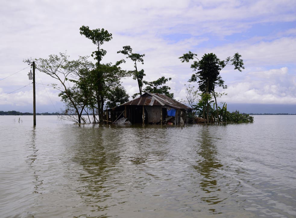 CAMBIO CLIMATICO