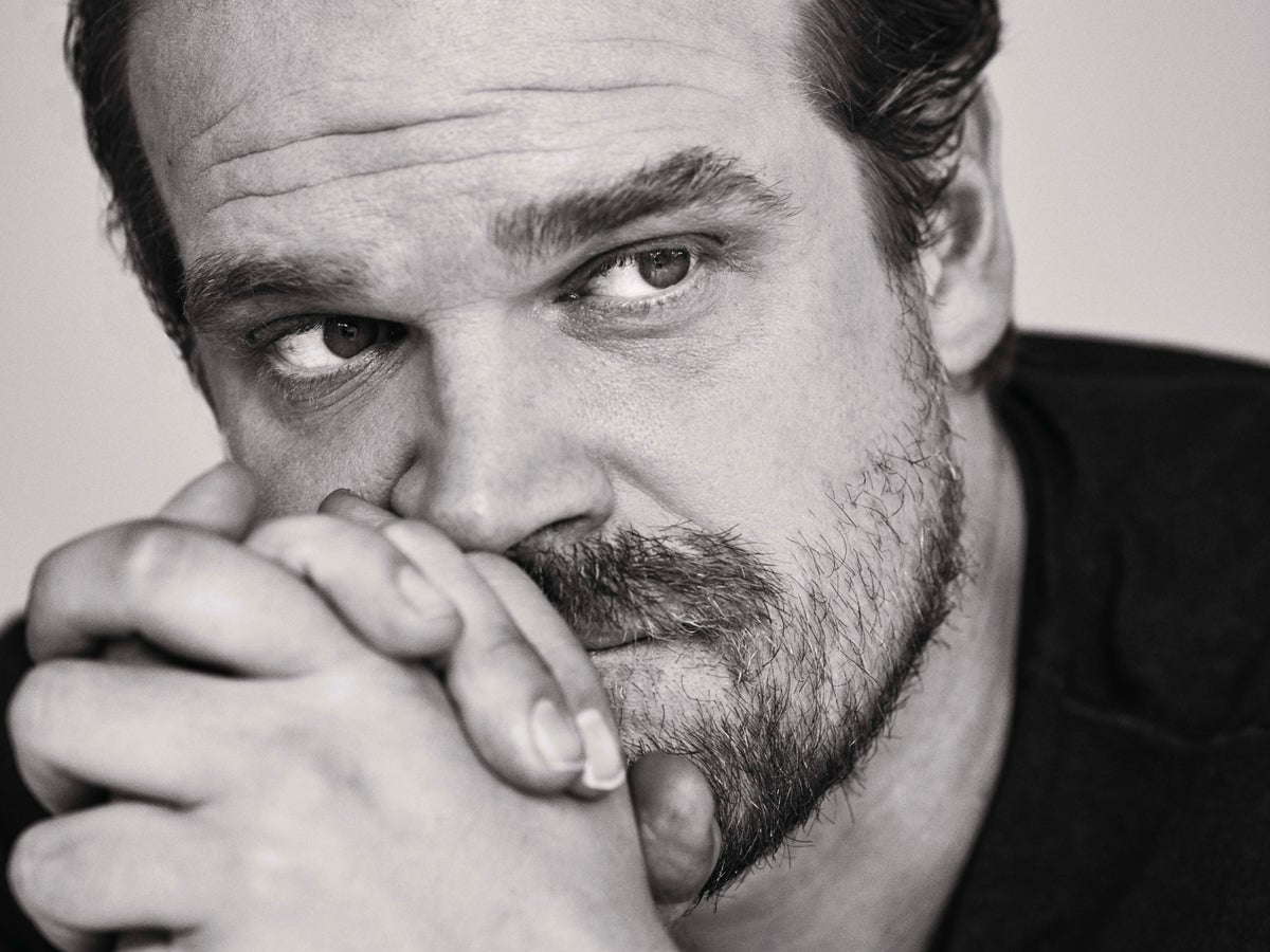 David Harbour: ‘I’ve had some issues with, you know, madness’