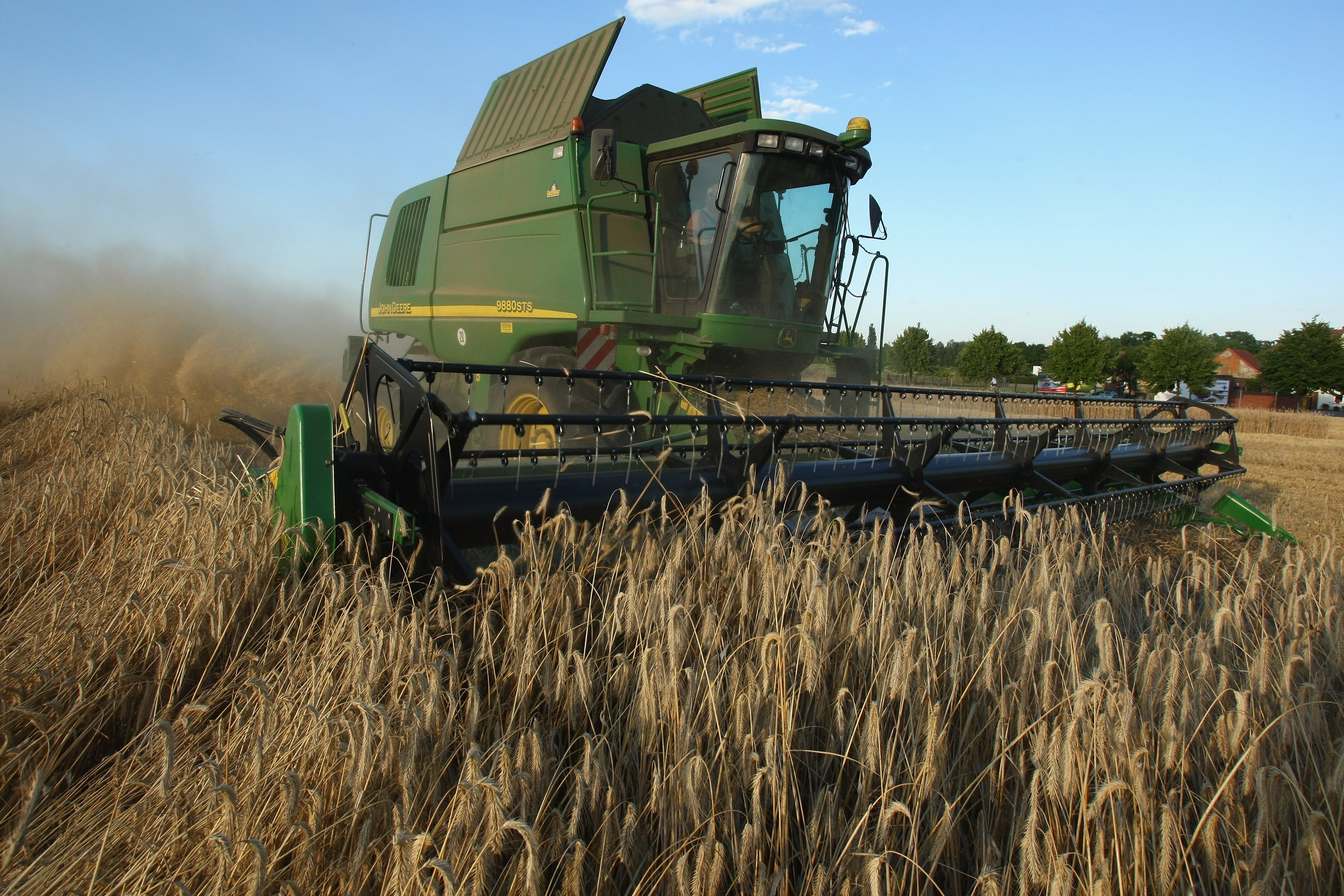 A combine harvests rye at a field near Mahlow