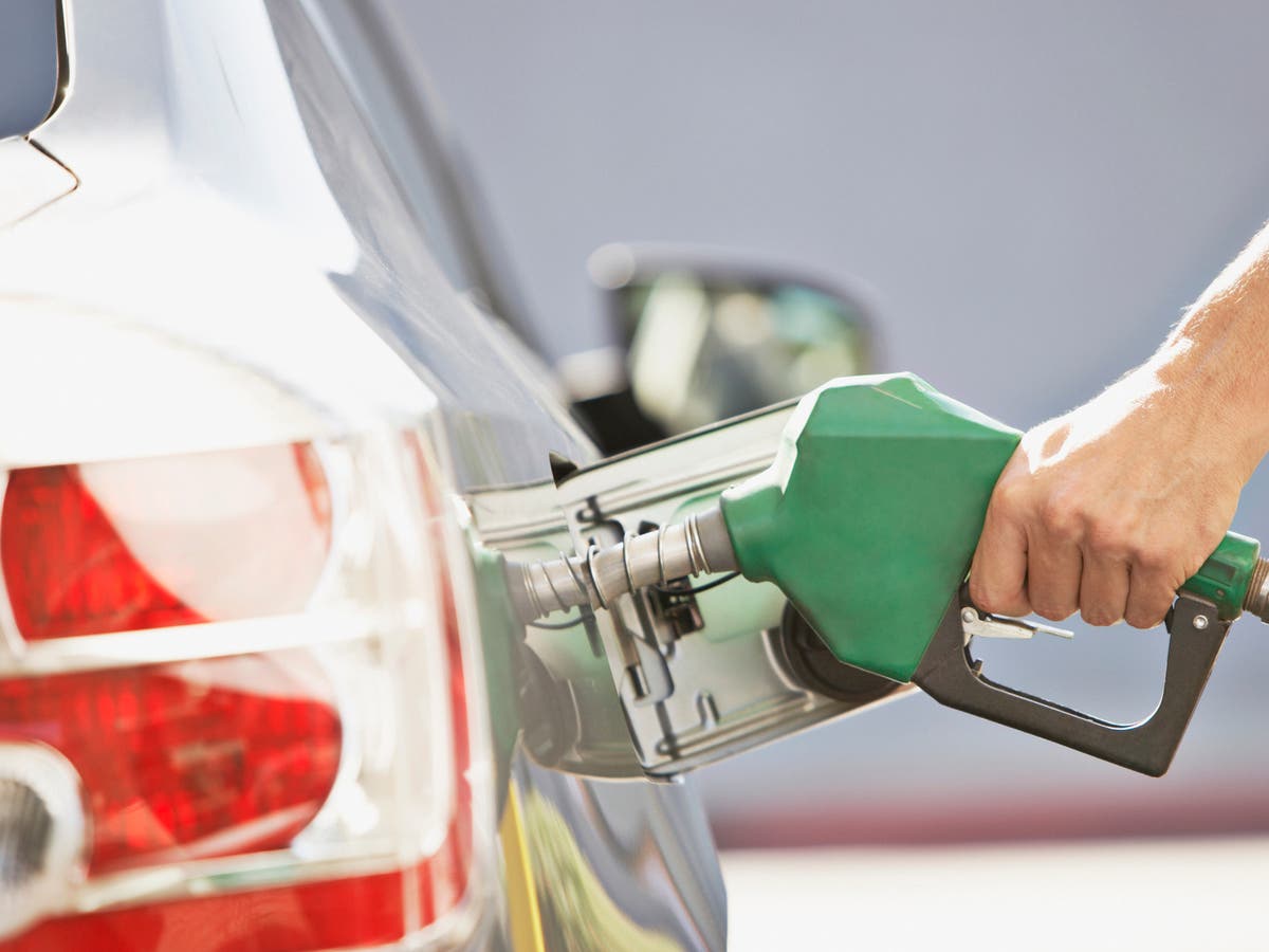 Ending use of biofuels in UK petrol could feed 3.5 million people, says think tank