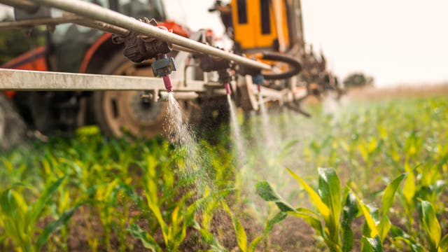 <p>Pesticide is sprayed on crops in Slovenia in this undated photo. </p>