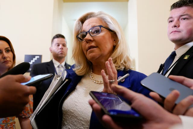 <p>Liz Cheney speaks with reporters in the Capitol </p>