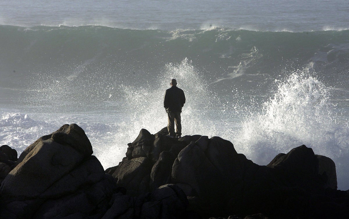 Surfer hospitalised after shark attack on Northern California coast