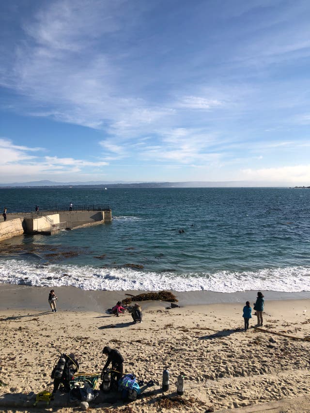<p>Beachgoers at Lover’s Point in Pacific Grove, California.</p>