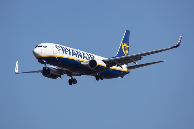 <p>A Ryanair Boeing 737-800</p>