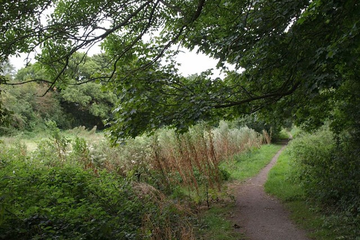 Boy, 12, drowns in river in north-east London