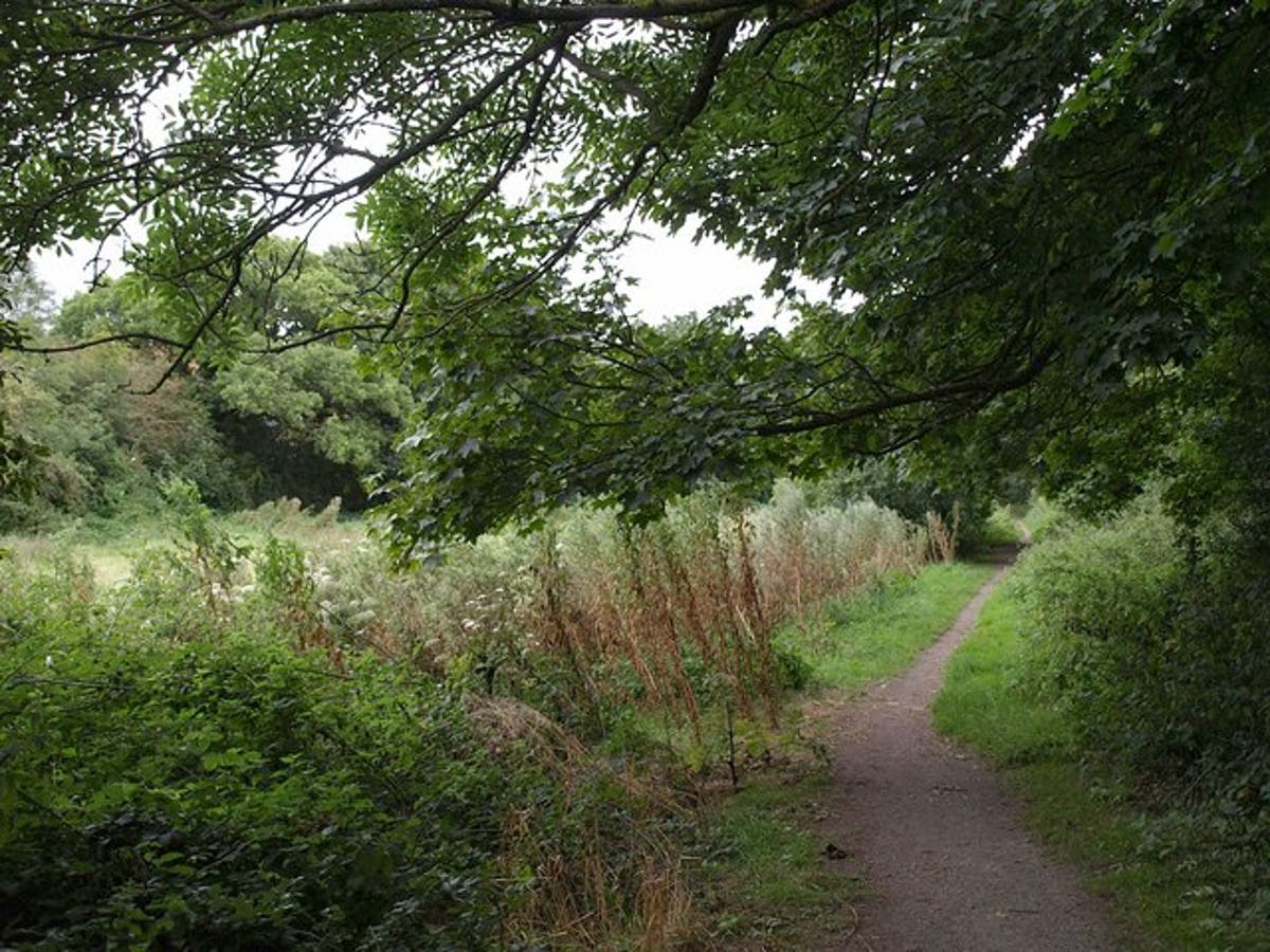 Three men arrested in connection with ‘22 sexual assaults’ in Hackney Marshes